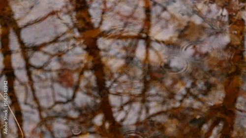 Pluie fine sur une flaque d'eau