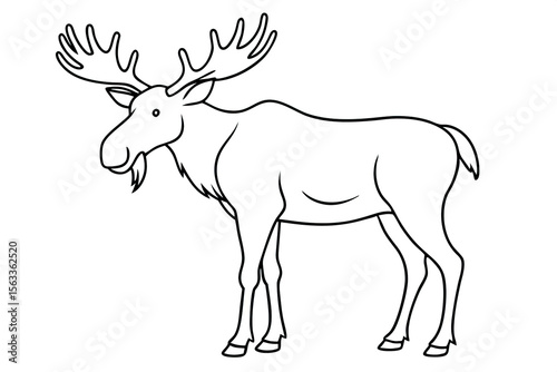Black and white outline drawing of a moose with branched antlers on a white background. Coloring for children