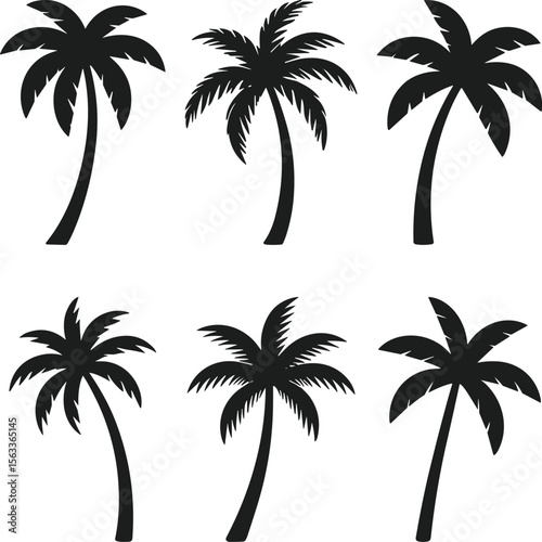 Set of Palm Tree Silhouette Vectors – Tropical Beach Summer Elements Collection