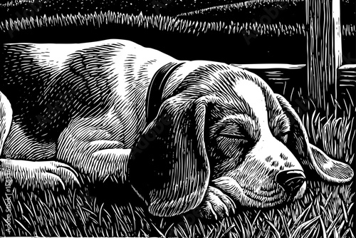 dog with floppy ears lying down peacefully, ideal for pet shop branding, veterinary prints or emotional storytelling a black and white line art illustration