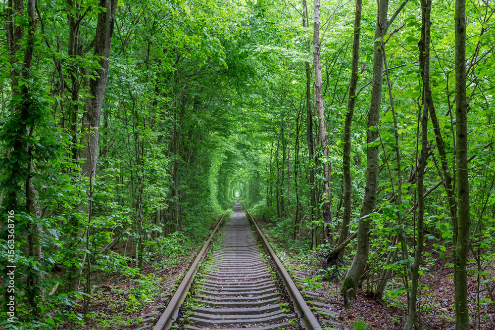 Fototapeta premium Section of railway surrounded by trees green arches in forest