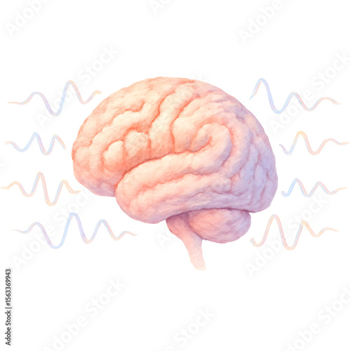 Realistic pink brain illustration with wave patterns on background