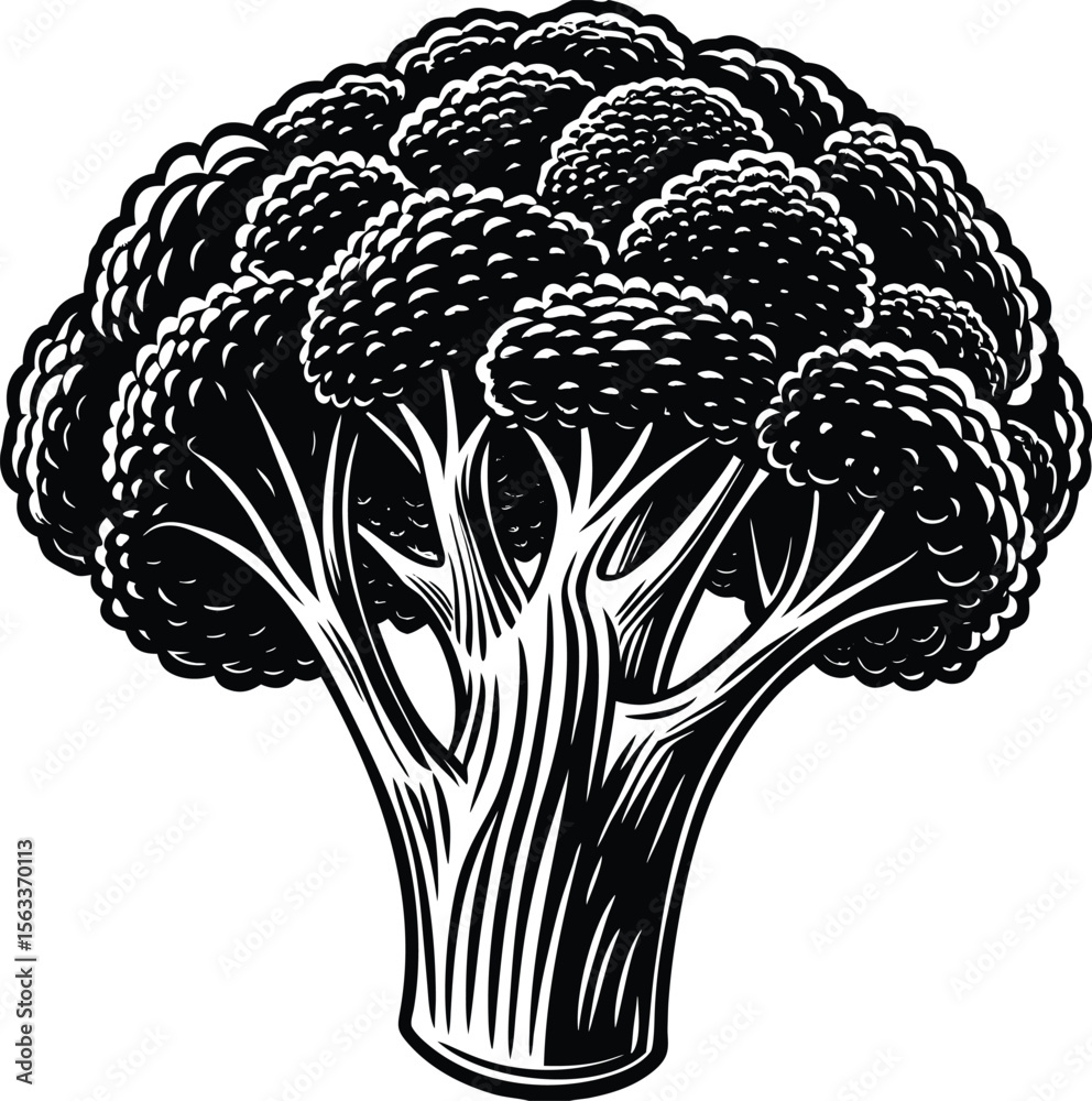 Fototapeta premium High-Resolution Black and White Broccoli Illustration Perfect for Culinary, Health, and Vegan Designs