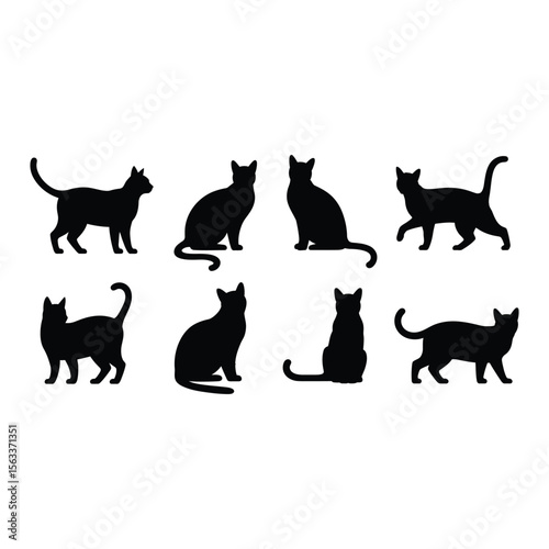 Black cat silhouettes in various poses on a white background for design elements