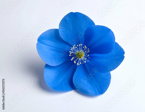A single vibrant blue flower with a delicate yellow and white center blooms against a pristine white background.