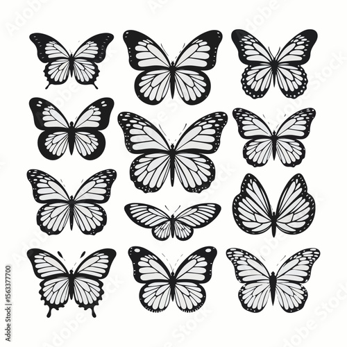 Wallpaper Mural "Black and White Butterfly Silhouette Vector Set Torontodigital.ca
