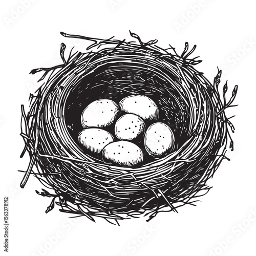 Nest with eggs silhouette isolated on a white background, Nesting season bird’s nest with eggs nature illustration, Bird nest with eggs silhouette vector art for nature conservation