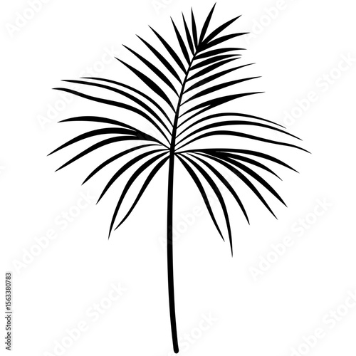 palm leaf silhouette