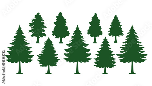 A row of evergreen tree silhouettes in various sizes