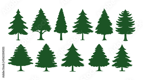 A row of evergreen tree silhouettes in various sizes