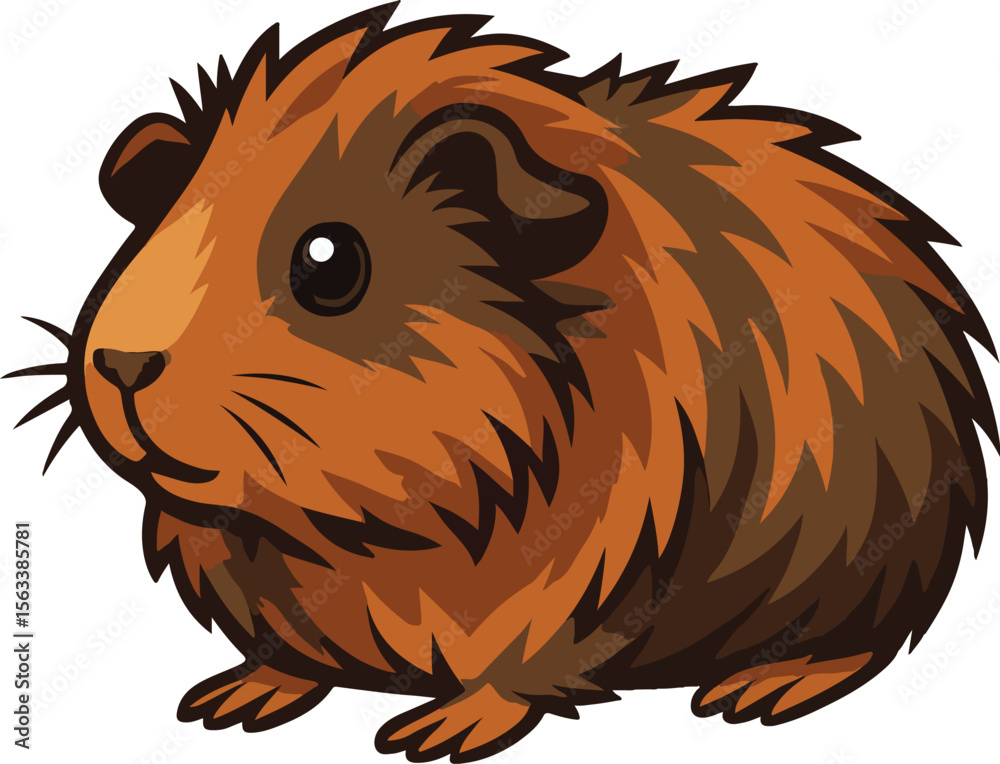 Obraz premium Abyssinian Guinea Pig animal vector illustration | Adobe Illustrator Artwork