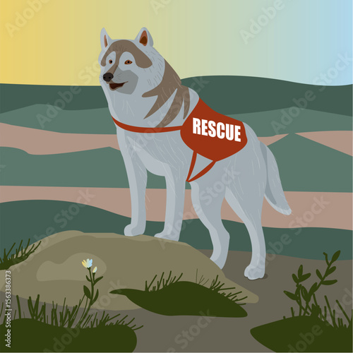
illustration, rescue dog, beautiful, brave, protection, defender, dog breeders, trained dogs, guide dog, mountain rescuer, mountains, husky, shepherd, man's best friend, strong, animals, nature, anim