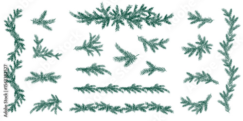 Set of Christmas Borders and Pine Tree Branches, Vector Illustrations