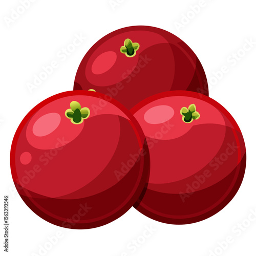 vector illustration of tomato
