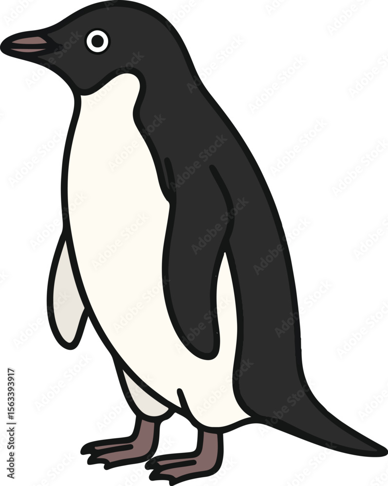 Naklejka premium Adélie Penguin Animal Vector, Adobe Illustrator Artwork