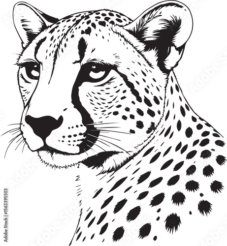 Cheetah face drawing: A monochrome vector artwork of a cheetah's face, showcasing its iconic spots and sleek form in a sketch style.