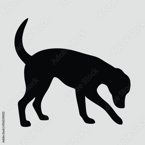 Silhouette of a dog sniffing the ground vector illustration