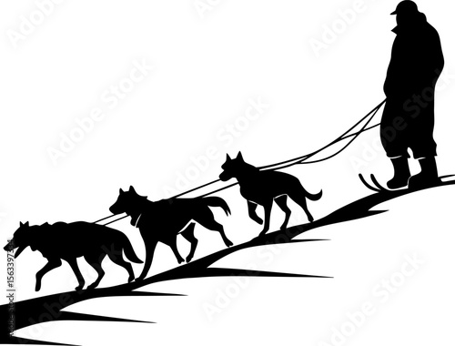 Silhouette of Musher with Dog Sled Team on Slope, Thrilling dog sledding adventure

