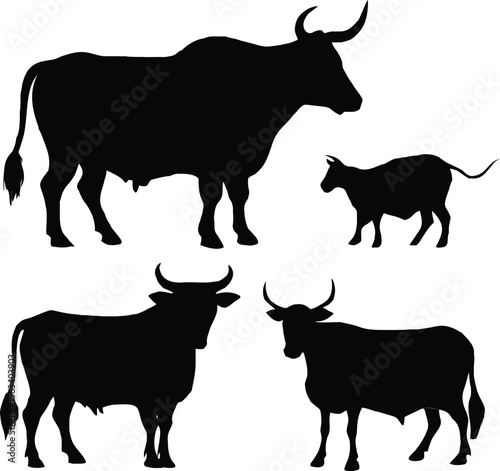 Collection of black silhouette cattle and a calf on white background