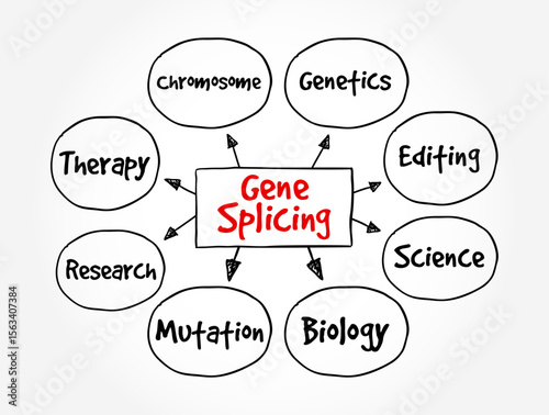 Gene Splicing is a post-transcriptional modification in which a single gene can code for multiple proteins, text concept mind map