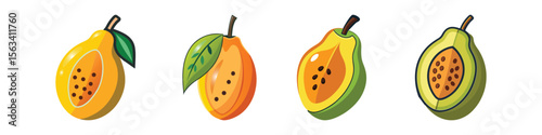 Flat Pawpaw Fruit Illustration North American Tropical Custard Apple Vector Icon