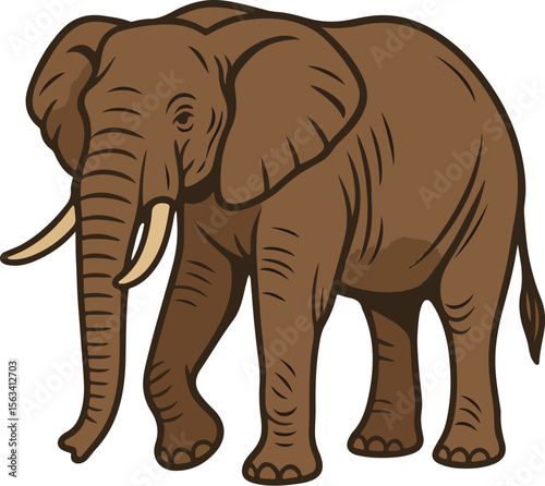 elephant isolated on white, African Forest Elephant Vector Illustration