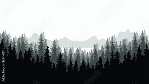 Forest background, nature, landscape. Evergreen coniferous trees. Pine, spruce, tree. Silhouette vector