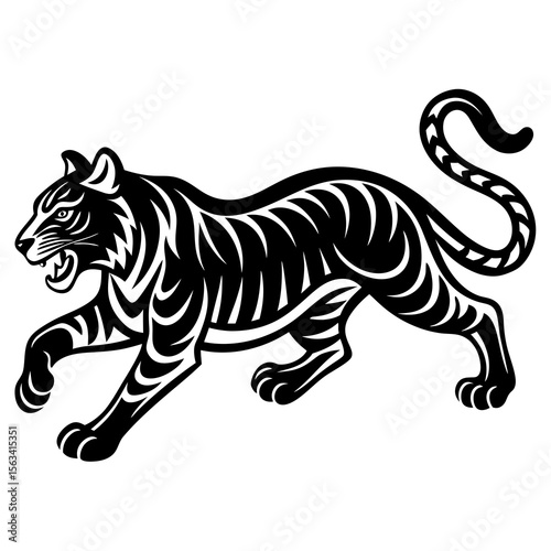 zebra on white background