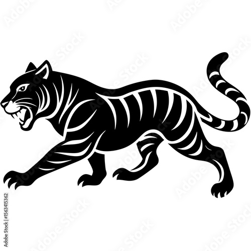 tiger on white background