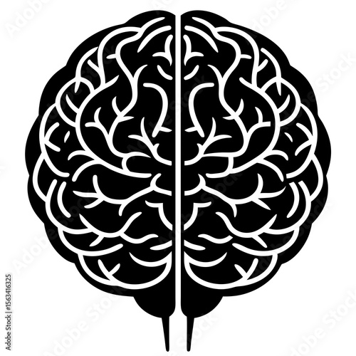 human brain vector