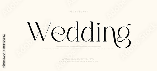 Elegant alphabet wedding logo font. Typography decoration logotype fonts, beauty shop, brand, logos. vector illustration