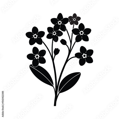 Black and white silhouette of forget-me-not flowers and leaves on a white background