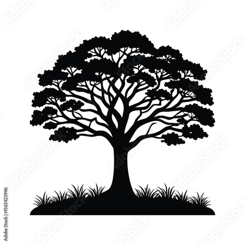 Silhouette of a large deciduous tree with sprawling branches and lush foliage