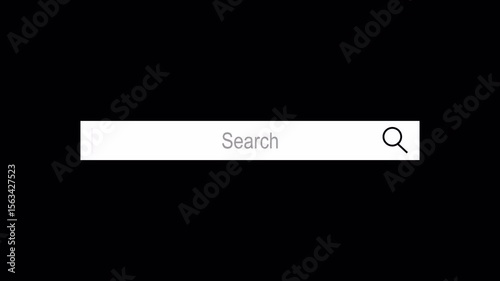 Search bar animation for social media use, search bar animation on transparent background, Animated search bar with alpha channel for digital use