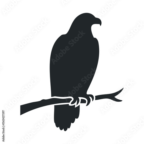 Silhouette of a bird of prey on a branch in profile view