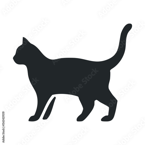 Silhouette of graceful cat in walking pose
