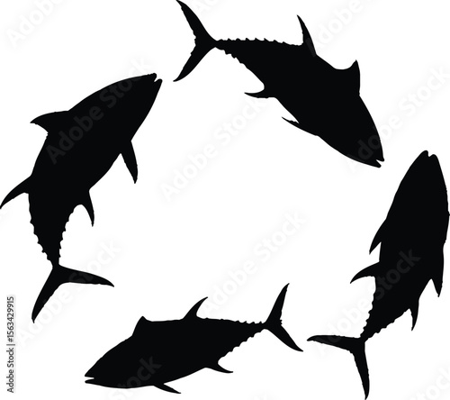 Tuna fish arranged in a perfect circle against a stark white background.