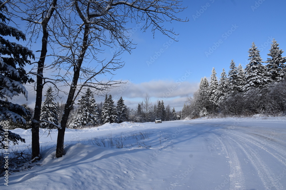 Obraz premium The northern range in winter, Sainte-Apolline, Québec, Canada