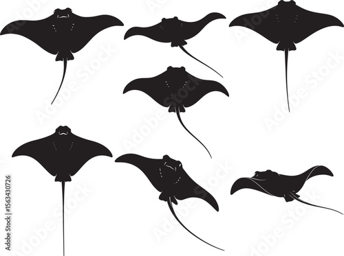 Stingray Ocean Ray Fish Silhouette Vector Set vector illustration