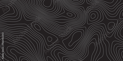 High-resolution gray topographic contour line background for abstract use case.
