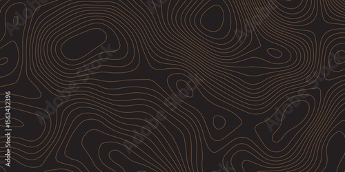 Dark topographic vector pattern with abstract contour lines for luxury backdrops.