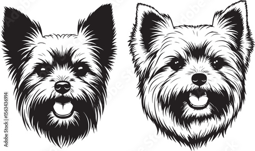 Yorkshire Terrier Dog Happy Face Cute Silhouette vector illustration