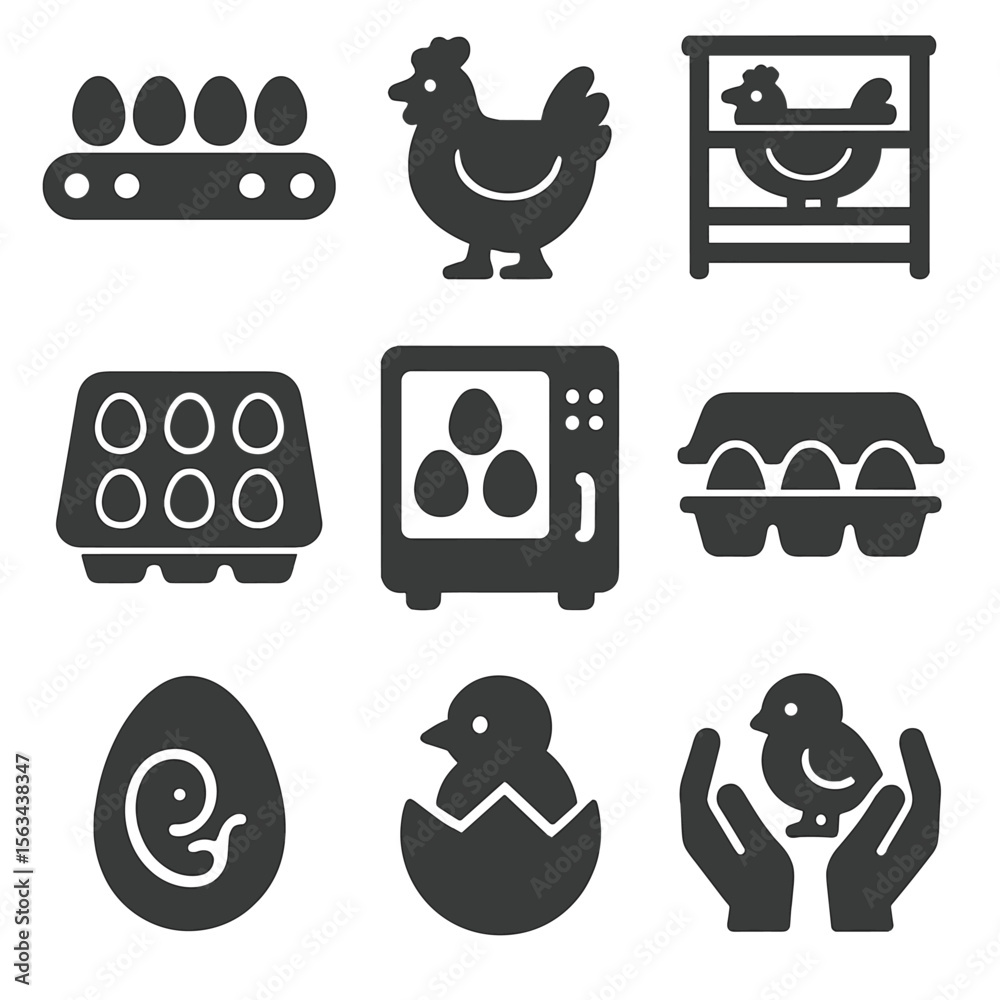 Fototapeta premium Chicken Egg Production. Solid vector icons of chicken and egg production: egg conveyor belt, broiler chicken icon, layer cage, egg