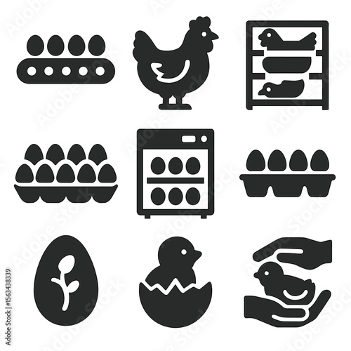 Chicken Egg Production. Solid vector icons of chicken and egg production: egg conveyor belt, broiler chicken icon, layer cage, egg