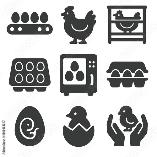 Chicken Egg Production. Solid vector icons of chicken and egg production: egg conveyor belt, broiler chicken icon, layer cage, egg