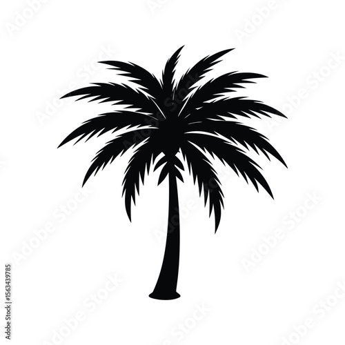 palm tree silhouette