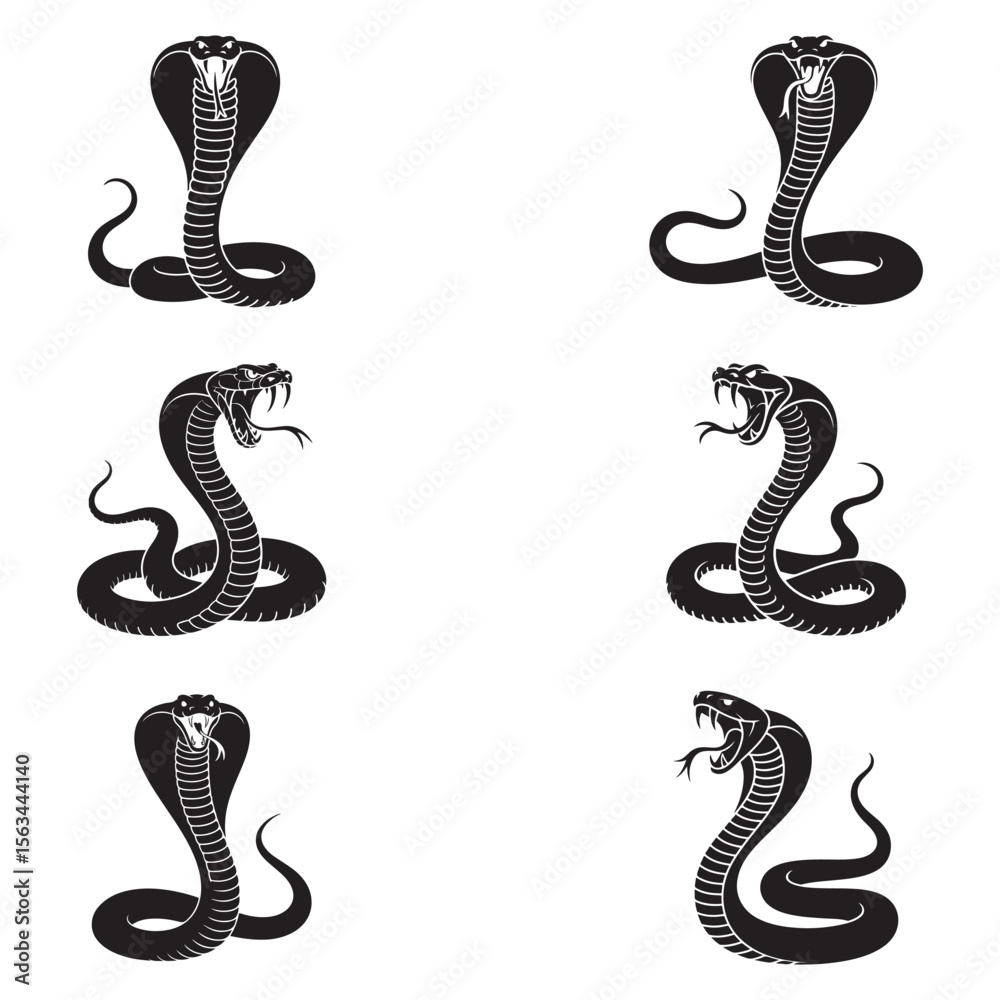 Fototapeta premium High Quality Snake Silhouette Vector Collection Bold and Striking Reptile Illustrations for Tattoo Art, Branding Projects, T-Shirt Prints, Jungle Wildlife Themes and Horror or Tribal Design Concepts.