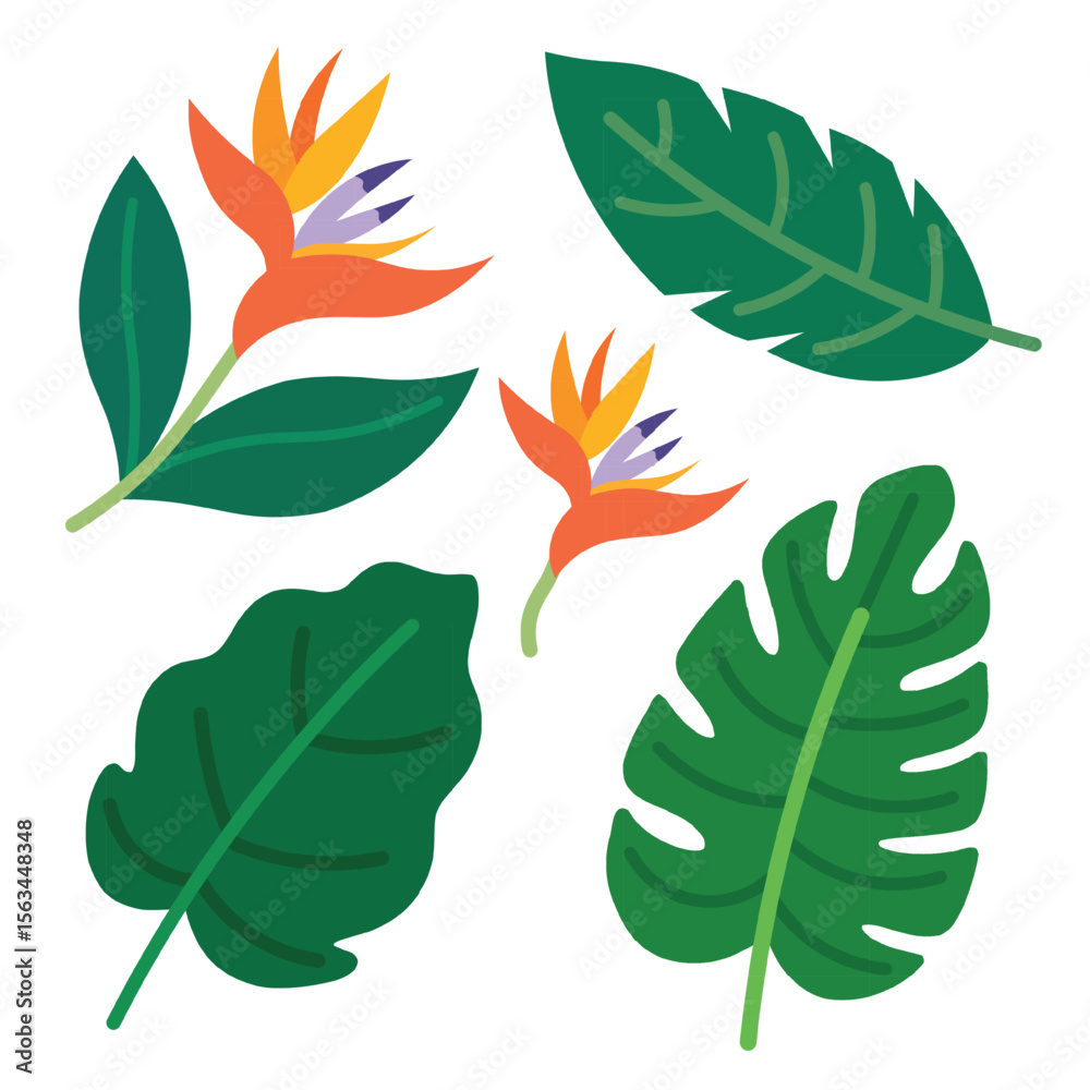 Fototapeta premium Tropical Flowers and Leaves Flat Vector Set. Including Monstera, Bird of Paradise, and Leaves. Vector Illustration. Design Element. Clip art. Suitable for artwork design. Editable for any design. 