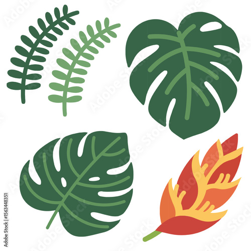 Tropical Exotic Leaves Flat Vector Set, Including Monstera, Fern, and Heliconia. Vector Illustration. Design Element. Clip art. Suitable for artwork design. Editable for any design. 