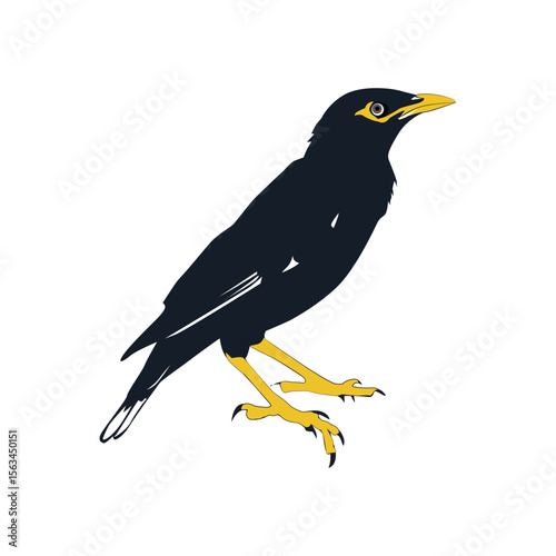 Bully bird illustration vector based on white background vol 05